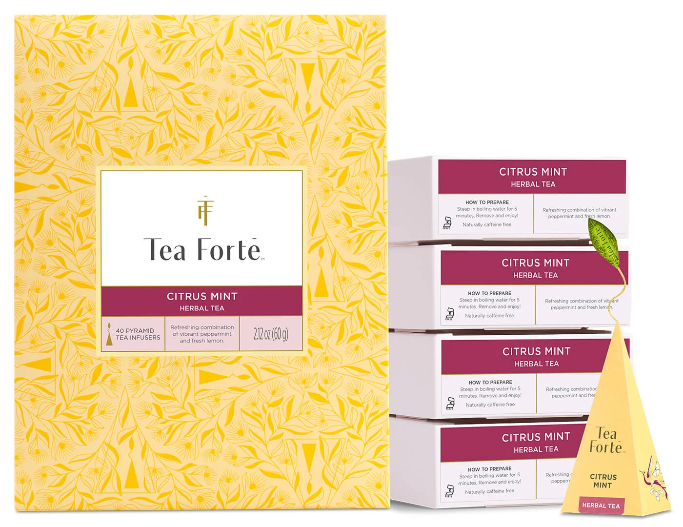 Citrus Mint Event Box 40ct
