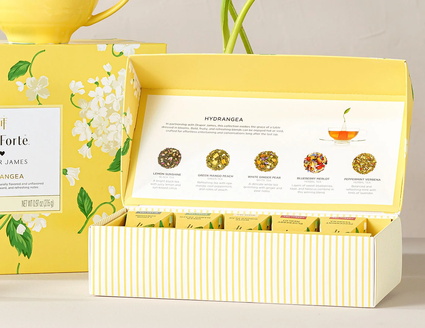 Hydrangea by Draper James Petite Presentation Box - Image 3