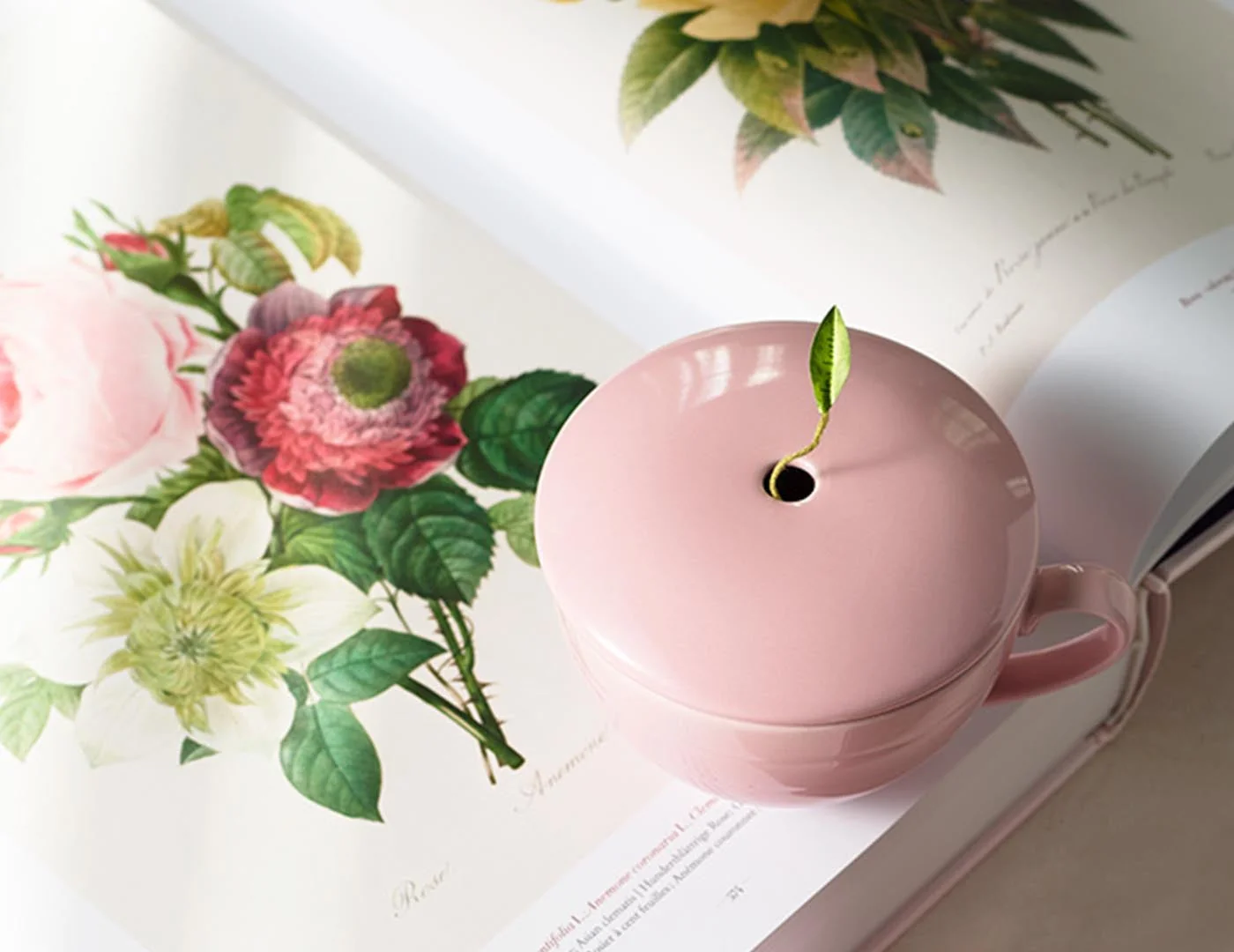 Café Cup Rose Pink - Image 3